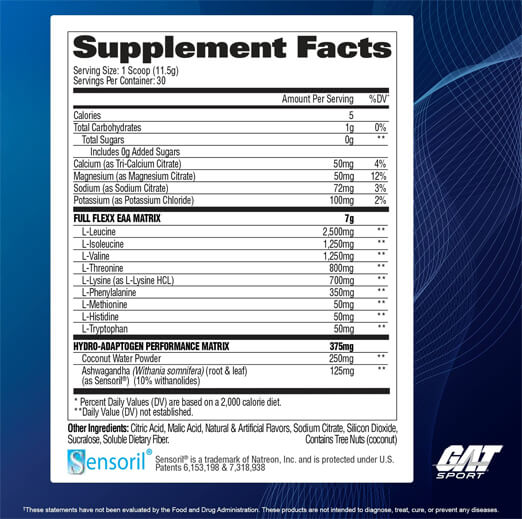 FLEXX EAA – Essential Amino Acids for Muscle Recovery, Hydration & Performance - Image 3
